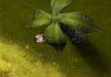 Badass Builder 2 Flash game Badass Builder 2 Flash game